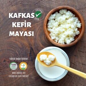 เกรนคเฟอรตรก 20 ml เกรนระยะพกตว kafkas kefir mayası