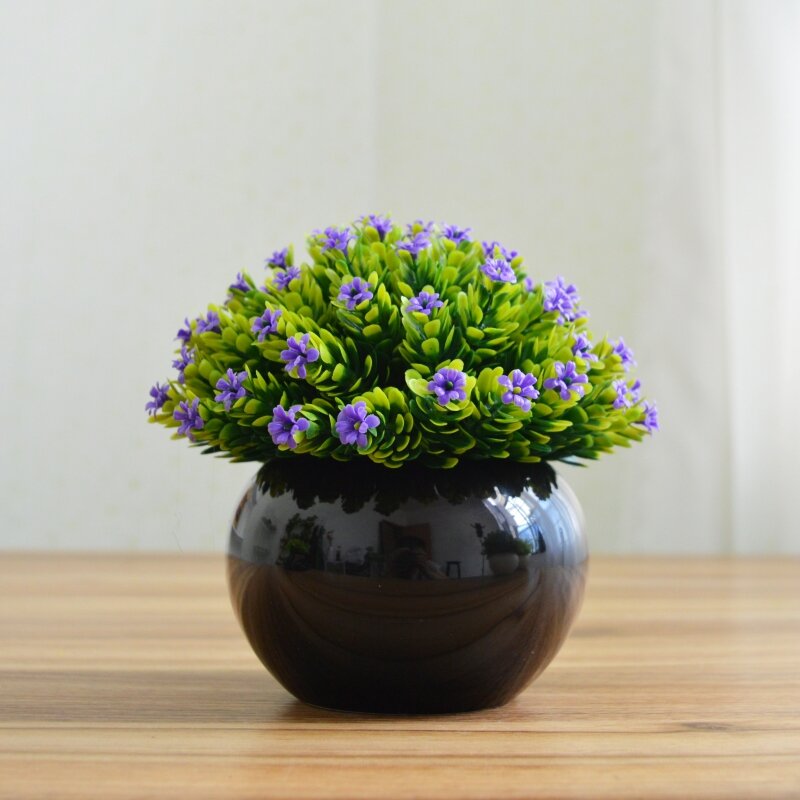 รวมกัน 99+ ภาพพื้นหลัง กระถาง ต้นไม้ เซรา มิ ก ใหม่ที่สุด