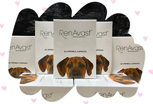 สินค้า RenAvast Dog อาหารเสริมบำรุงไตสำหรับสุนัข ขนาด60 เม็ด (ของแท้100%)