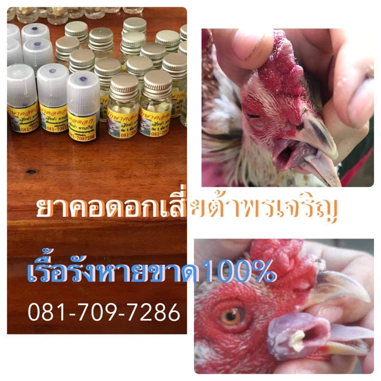 ยารักษาคอดอกไก่ชน (เสี่ยต้าพรเจริญ)