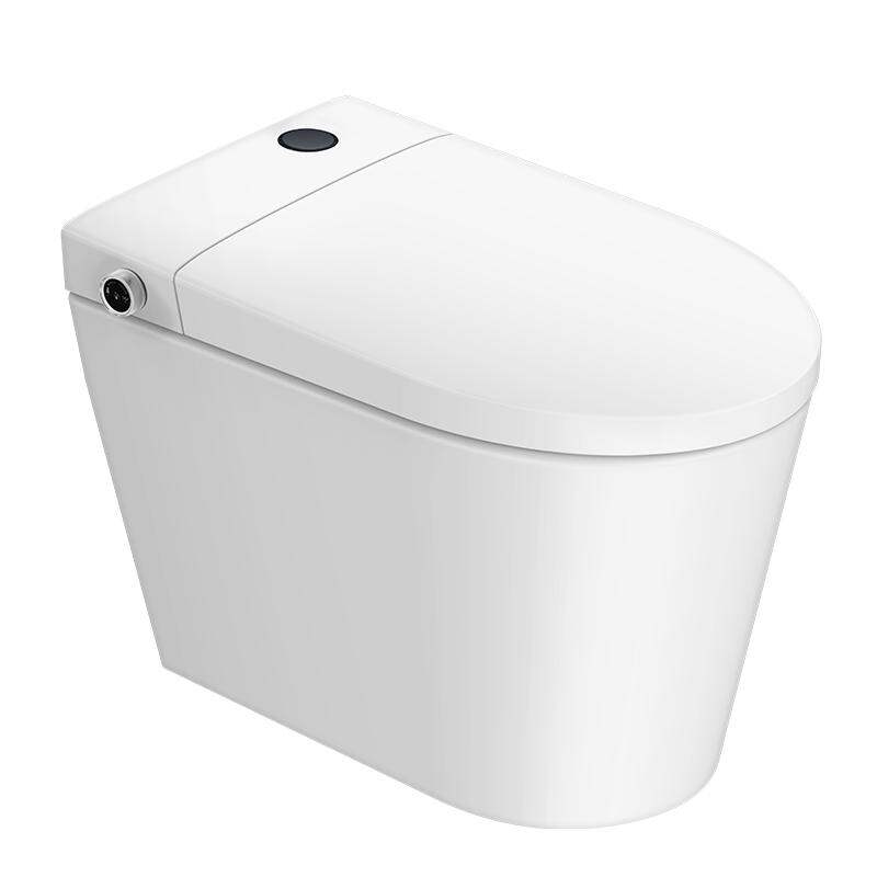 DONGPENG | Small Home Use Basic Smart Toilet with Foam Shield ราคา 10,737 บาท*ส่งฟรี