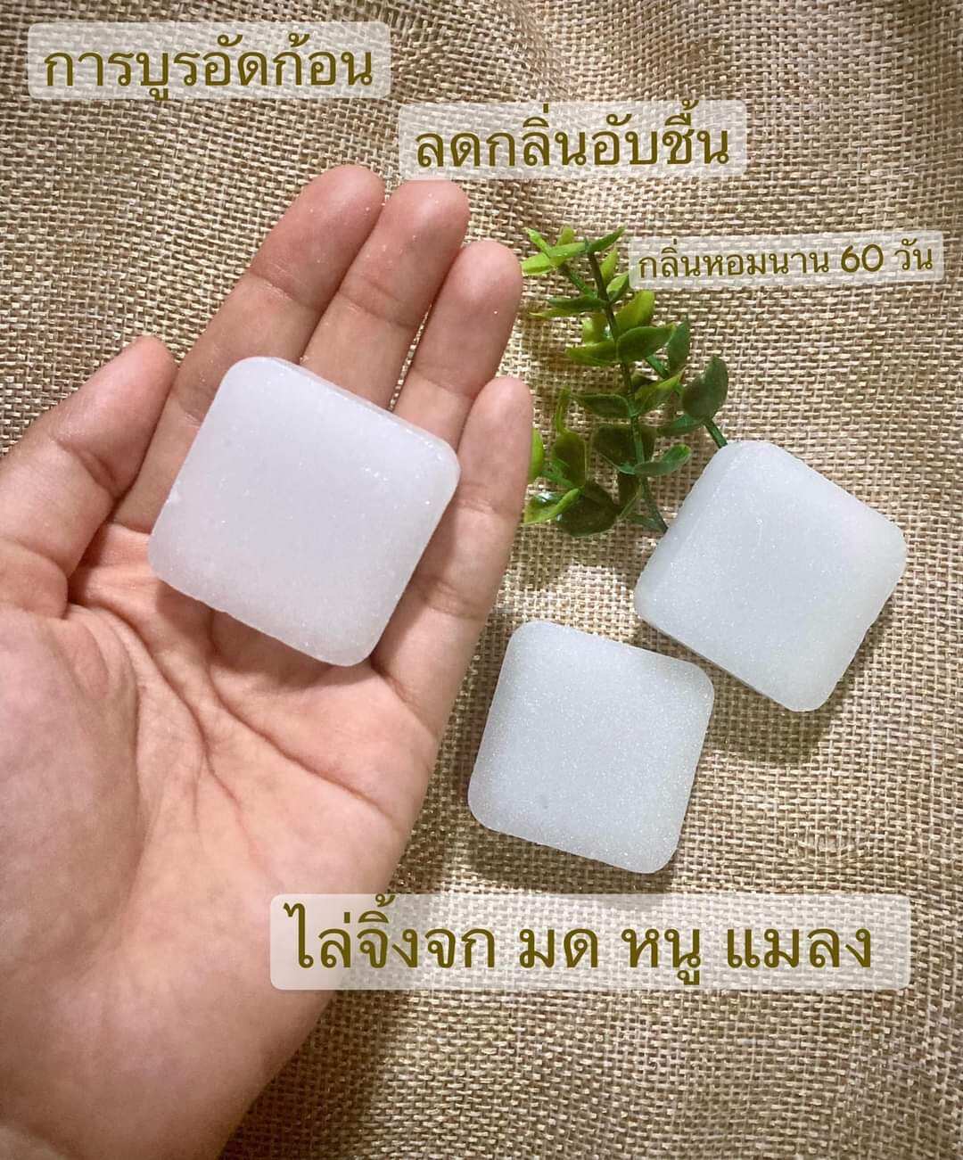 การบูรก้อน การบูรก้อนขนาดทดลอง การบูรแท้ 100%