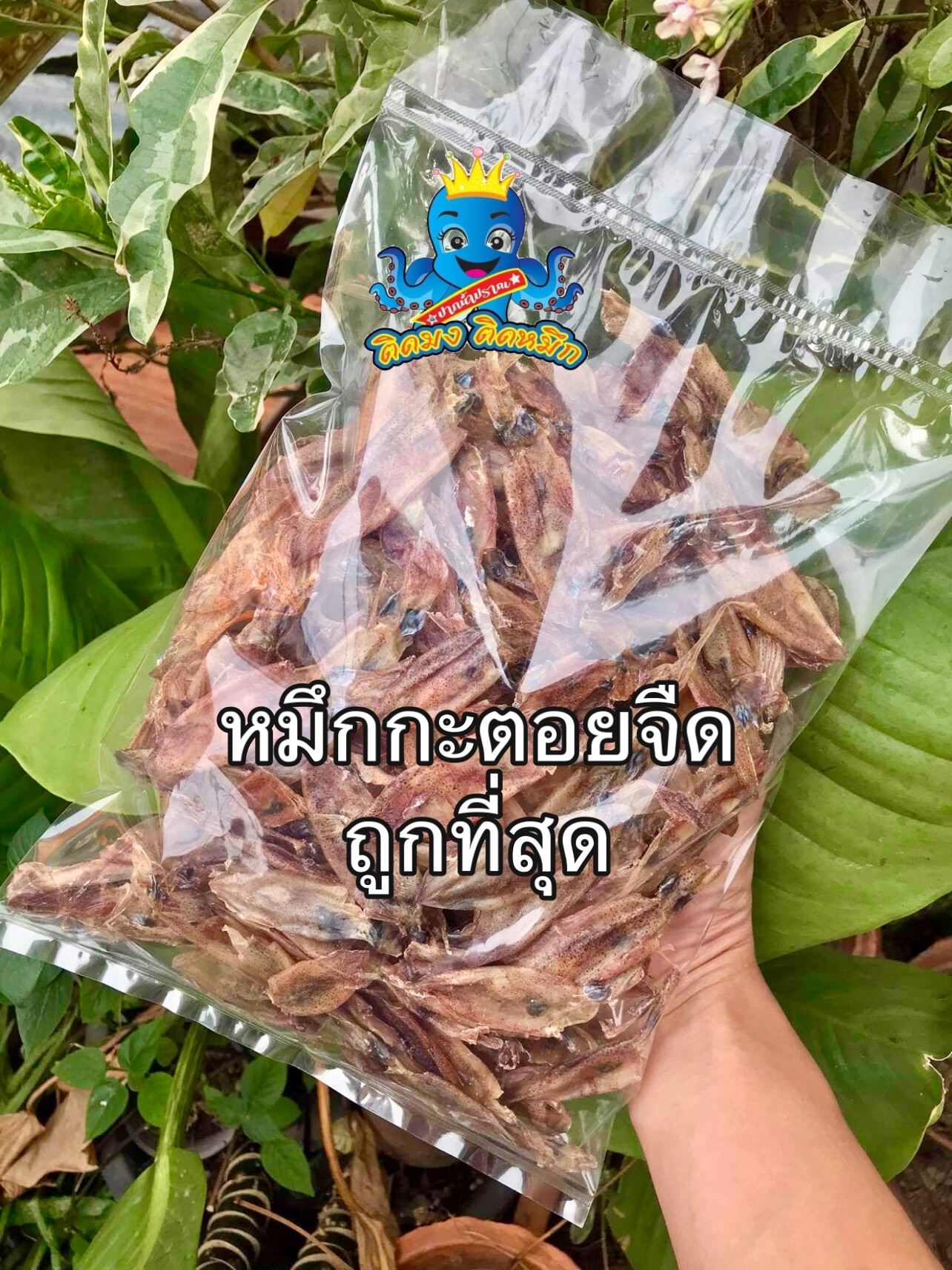 ปลาหมึกแห้ง ปลาหมึกกะตอยแห้ง 250 กรัม เรือไดร์ ถูกที่สุด ไม่เค็ม  สดใหม่ตากใหม่ทุกวัน ปลอดสารพิษ