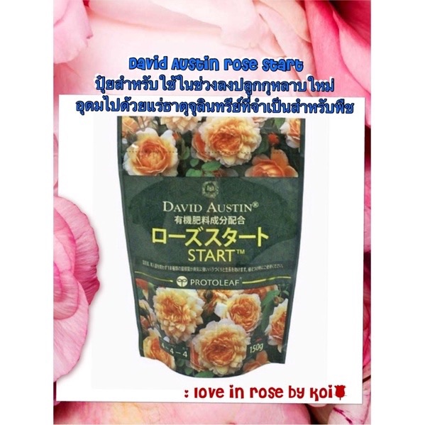 Rosestart купить в шебекино цветы