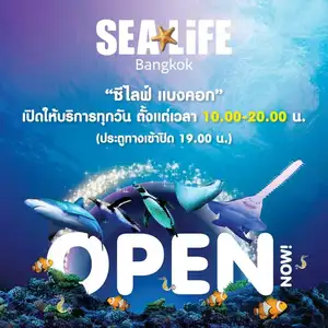 ภาพหน้าปกสินค้า[e-ticket] Sea Life Ocean World ซึ่งคุณอาจชอบสินค้านี้