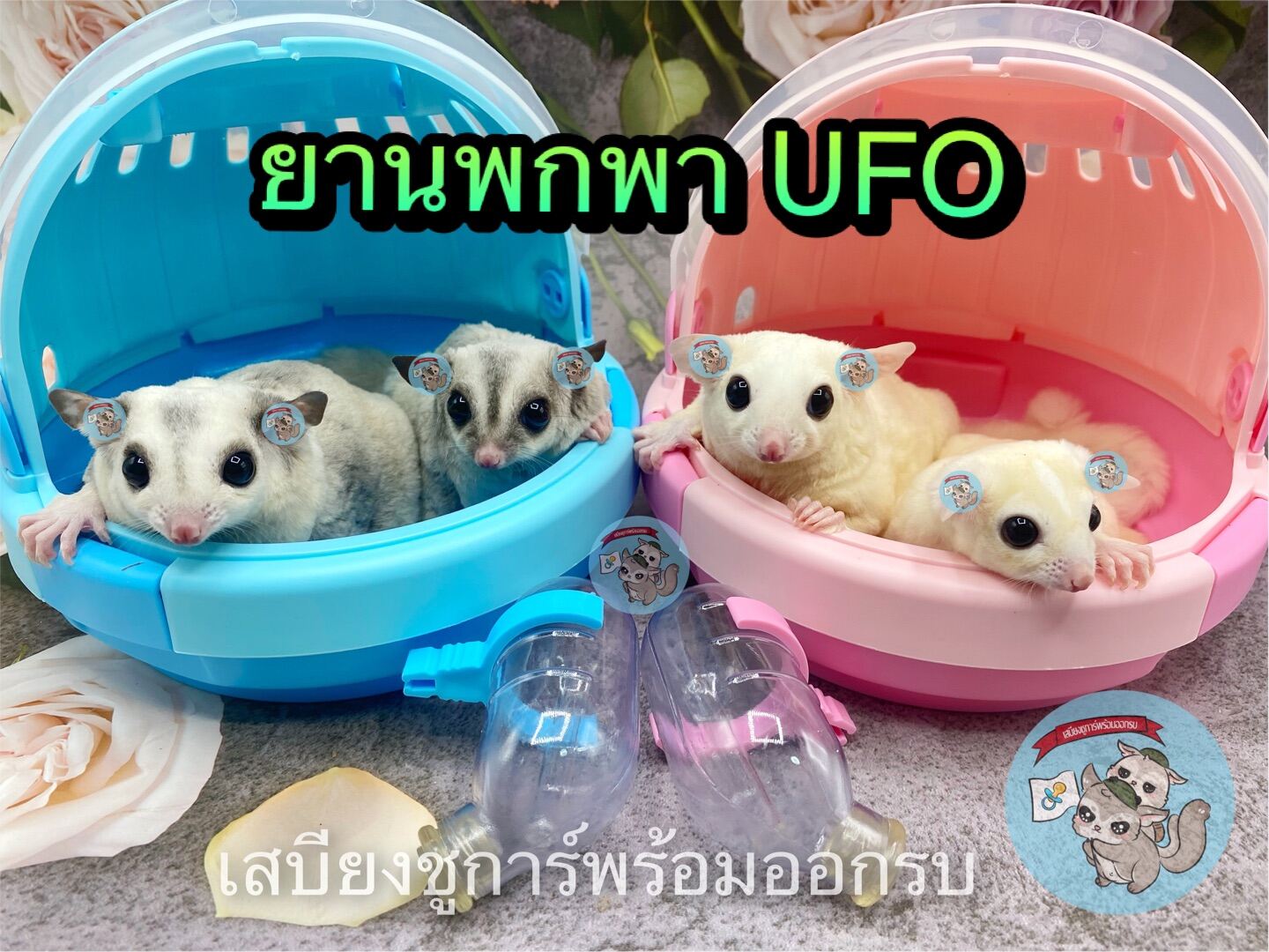 (UFO ยานพกพา) กรงพกพา ที่นอนพกพา บ้าน ที่นอน เบาะนอน เปล ชูการ์ ชูก้า สัตว์เลี้ยง สัตว์เล็ก กระรอก ดอร์เมาส์ แฮมสเตอร์