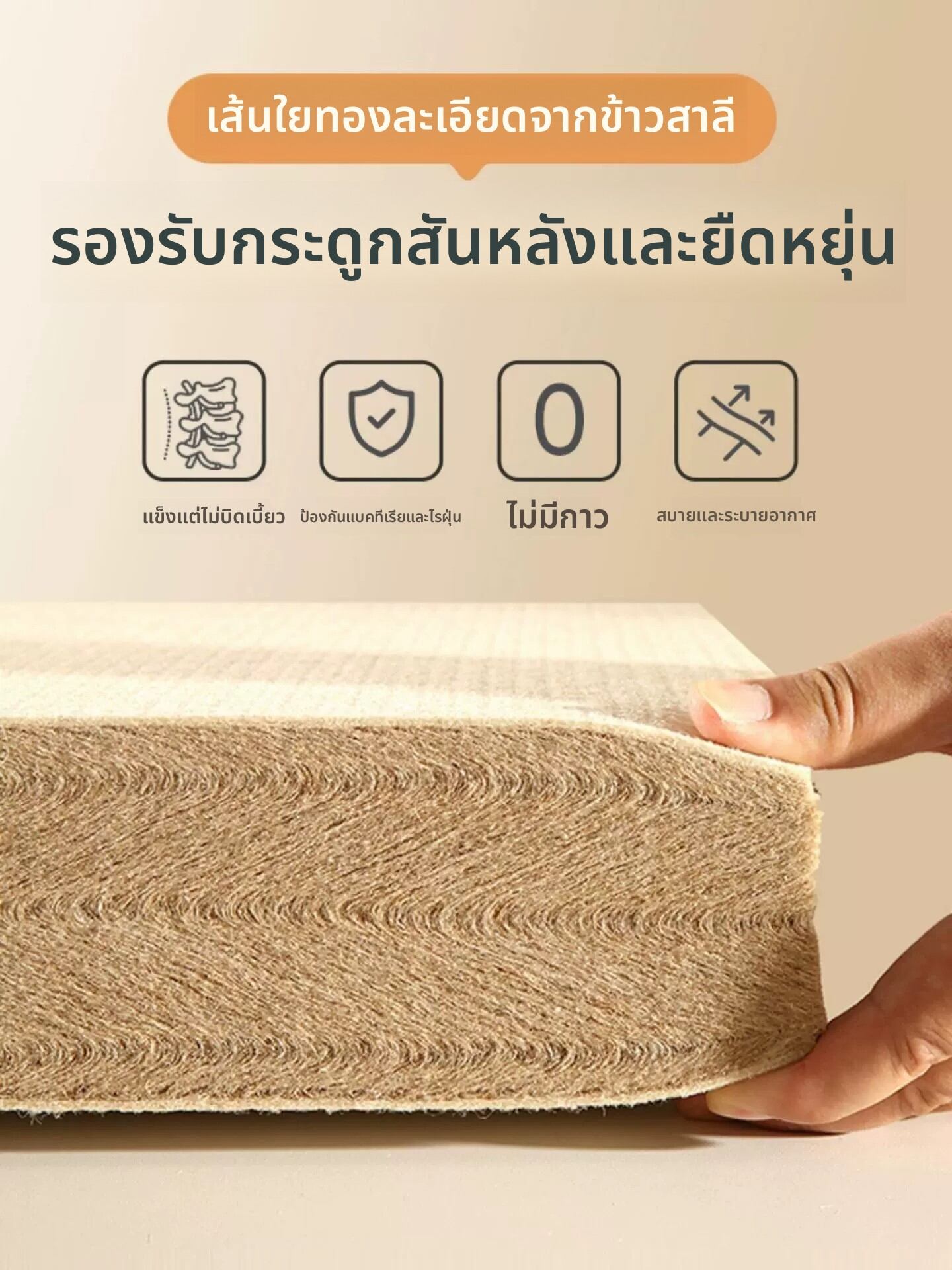 NUOMU | Spinal Support Lumbar Protection Mattress ราคา 9,415 บาท*ส่งฟรี