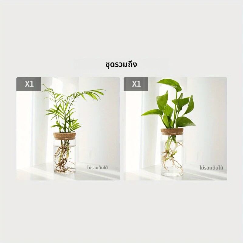 1 PCพืช Hydroponics เดสก์ท็อปแก้วแจกันสําหรับตกแต่งบ้านสถานีการขยายพันธุ์พืช Bud แจกันเดสก์ท็อป Hydroponics