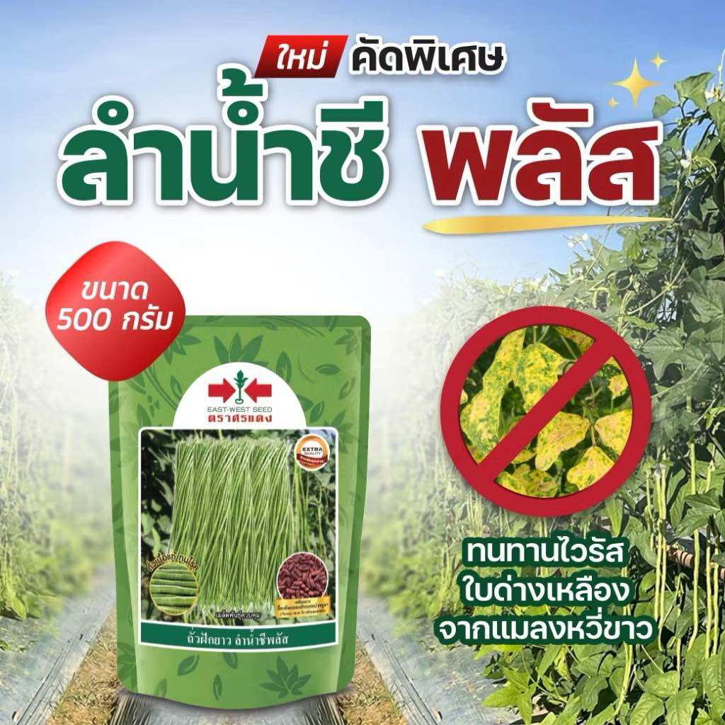 ถั่วฝักยาว ลำน้ำชีพลัส เมล็ดพันธุ์ ตราศรแดง ขนาด 500 กรัม หมดอายุ20/09/69 ราคา 370 บาท*ส่งฟรี