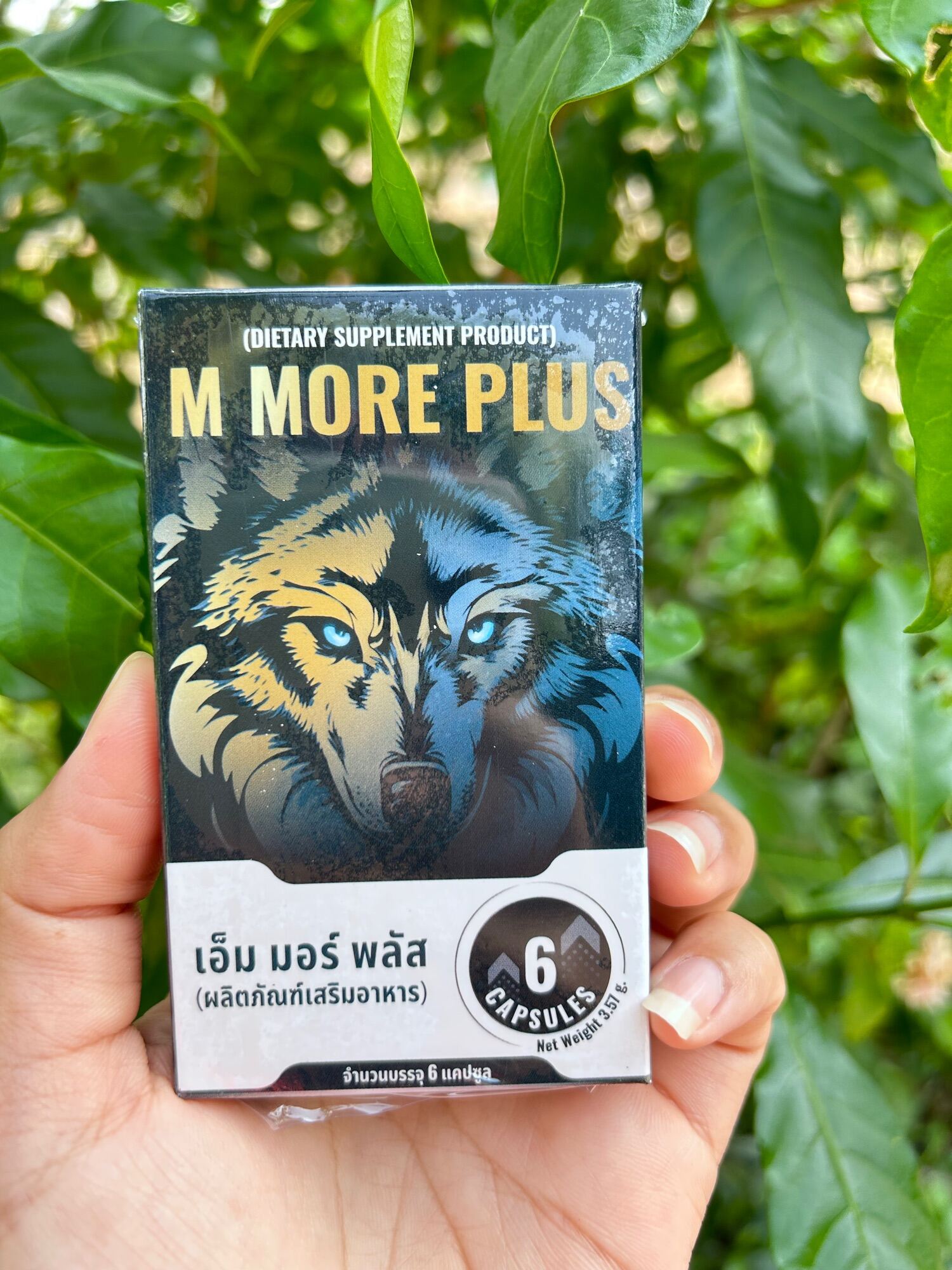  M More Plus 6 Noinoi20shop ThaiPick