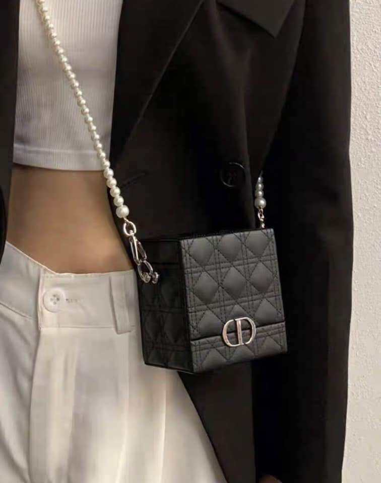 Dior lip online bag