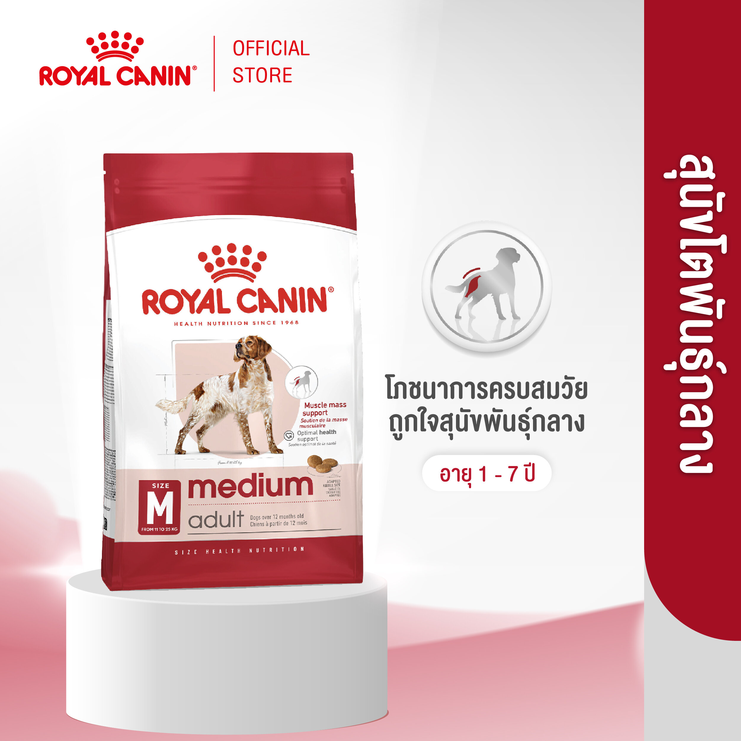 Royal Canin Medium Adult โรยัล คานิน อาหารเม็ดสุนัขโต พันธุ์กลาง อายุ 12 เดือน - 7 ปี (กดเลือกขนาดได้, Dry Dog Food)