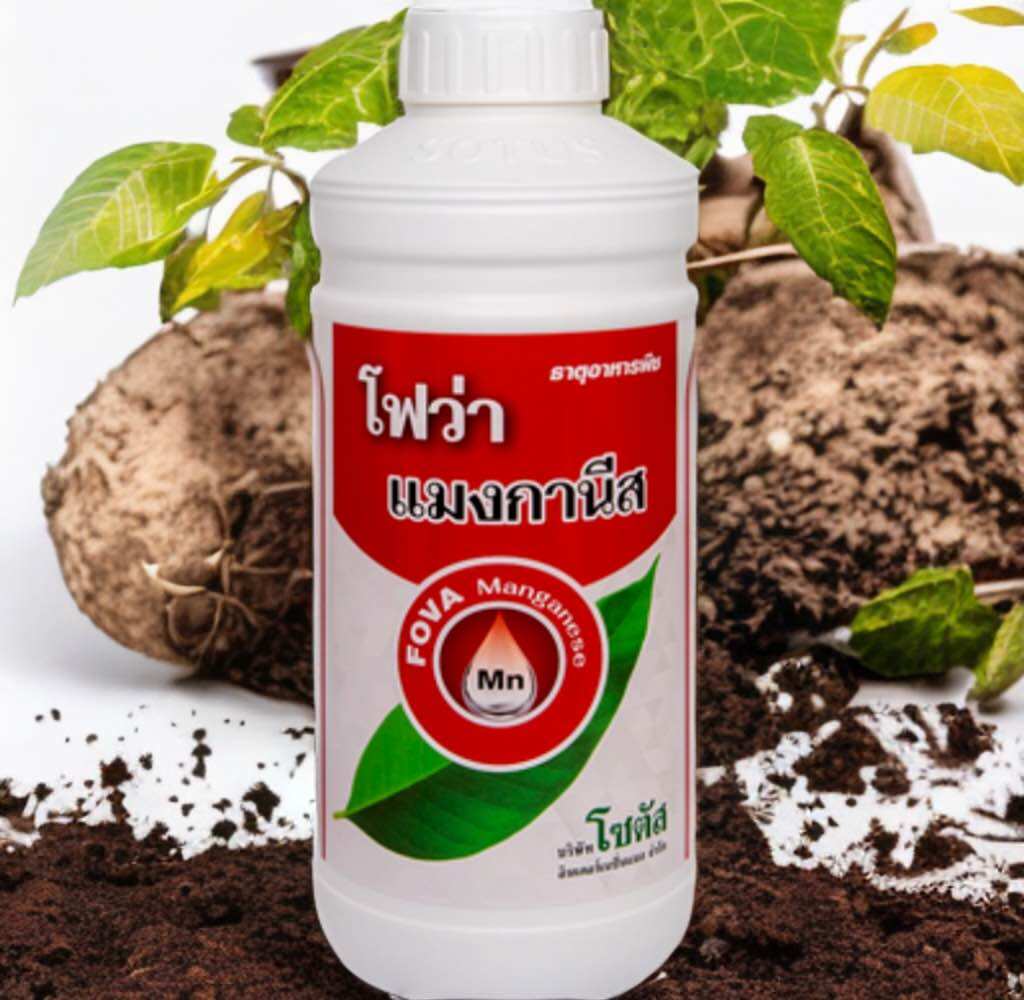 โฟว่า เแมงกานีส (Fova Manganese) ราคา 309 บาท*ส่งฟรี