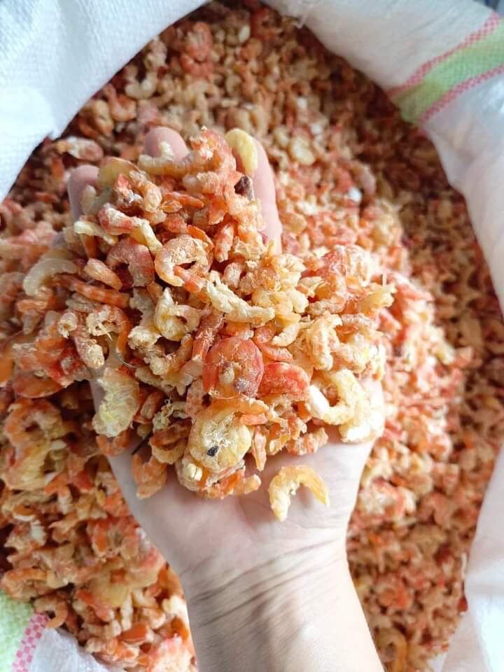 Burma Large Dried Shrimp กุ้งแห้งตัวใหญ่ ပုဇွန်ခြောက်အကြီး | Lazada.co.th