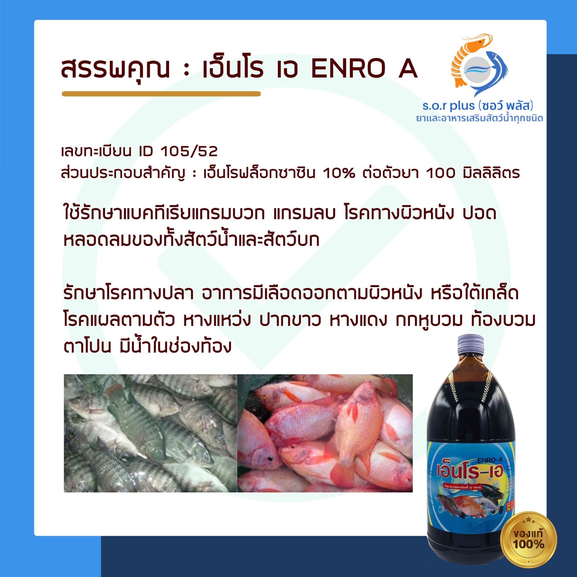 เอนโร เอ Enro A รักษาแผลตามตัว มีเลือดออก กกหูบวม ท้องบวม ตาโปน ท้องบวม  จากเชื้อแบคทีเรีย | Lazada.Co.Th