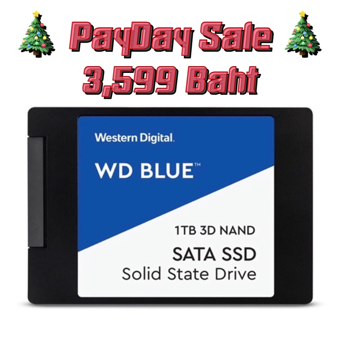 PaydaySale!! SSD ของใหม่ 1TB WD Western Digital Blue SATA ประกัน Synnex 5 ปี