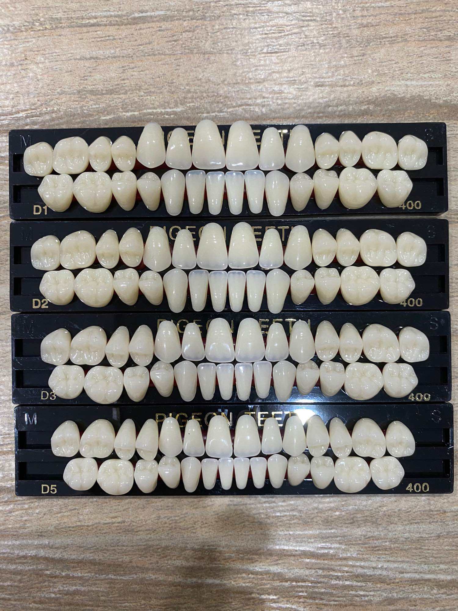 ฟันปลอม PIGEON DENTAL Lazada.co.th