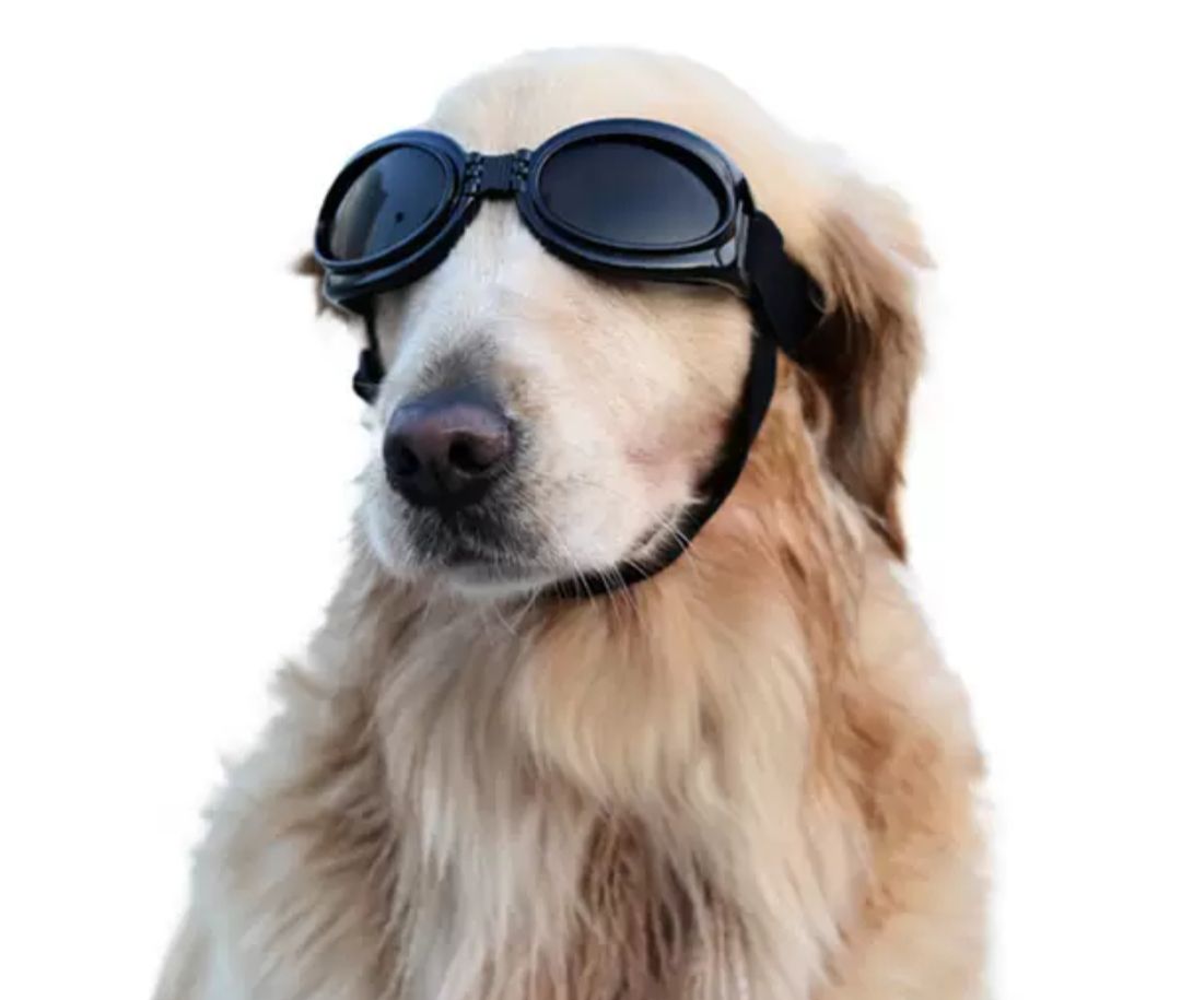 แว่นสุนัข แว่นกันลม แว่นกันแดด แว่นว่ายน้ำ ปรับสายได้ สำหรับสุนัขขนาดกลาง-ใหญ่