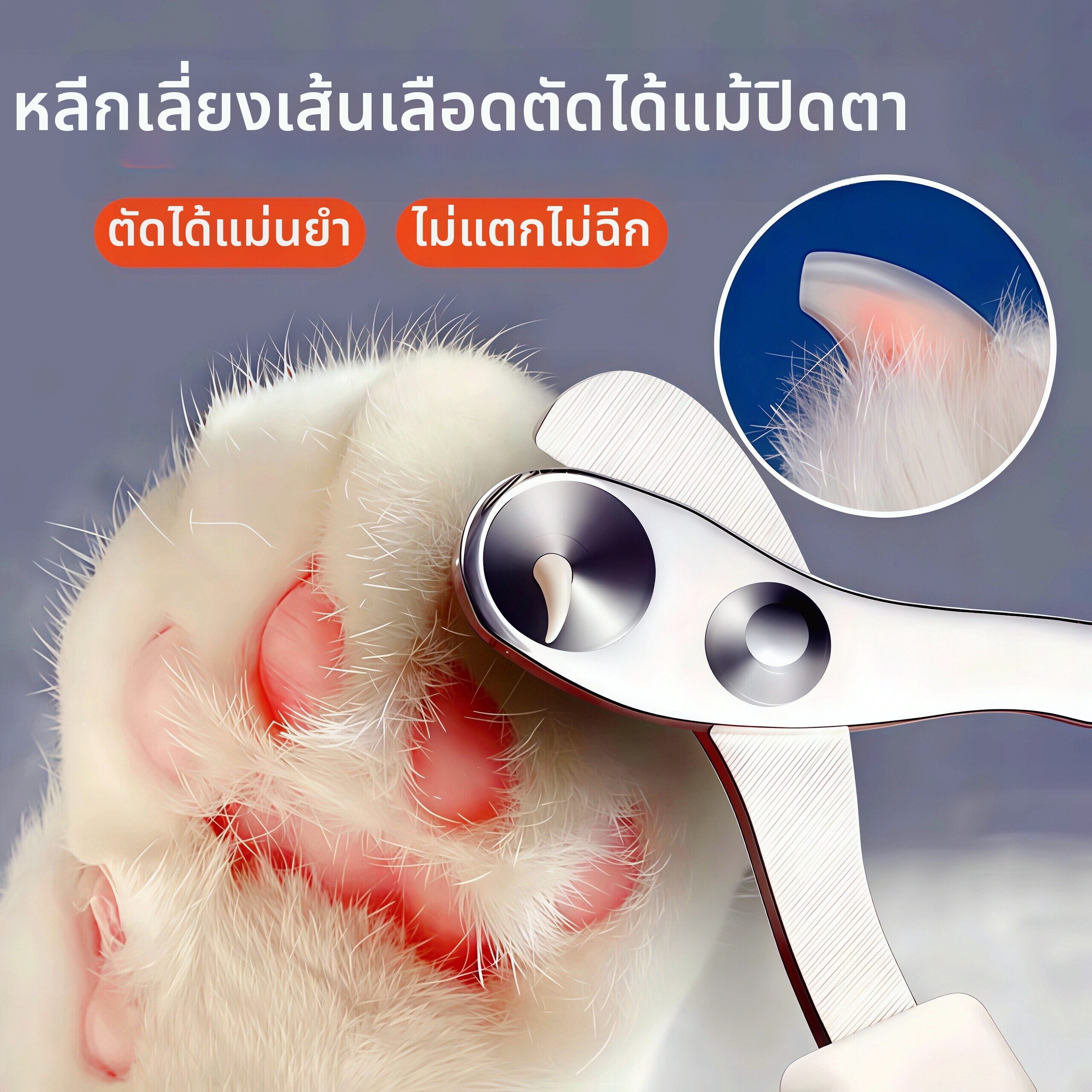 กรรไกรตัดเล็บแมวรูปทรงกลม เหมาะสำหรับผู้เริ่มต้น