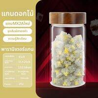 Cherry | สวิทช์กลไก Quiet Cherry MX2A