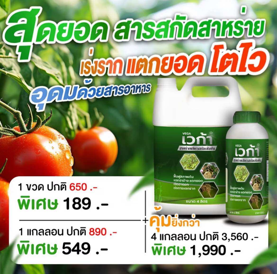 เวก้าสาหร่ายเขียว 4ลิตร(แกลอน) ฟื้นฟูสภาพต้น เปิดตาข้างใบ ตาข้างแตก ราคา 189 บาท*ส่งฟรี