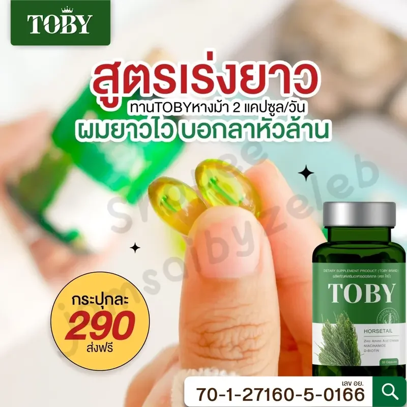 ภาพสินค้ามีปลายทาง โทบี้หางม้า โทบี้หญ้าหางม้า วิตามินลดผมร่วง Toby Horsetail ผมบาง หัวล้าน ผมร่วงหลังคลอด กระตุ้นการเกิดผมใหม่ จากร้าน Jamsaibyzeleb บน Lazada ภาพที่ 1