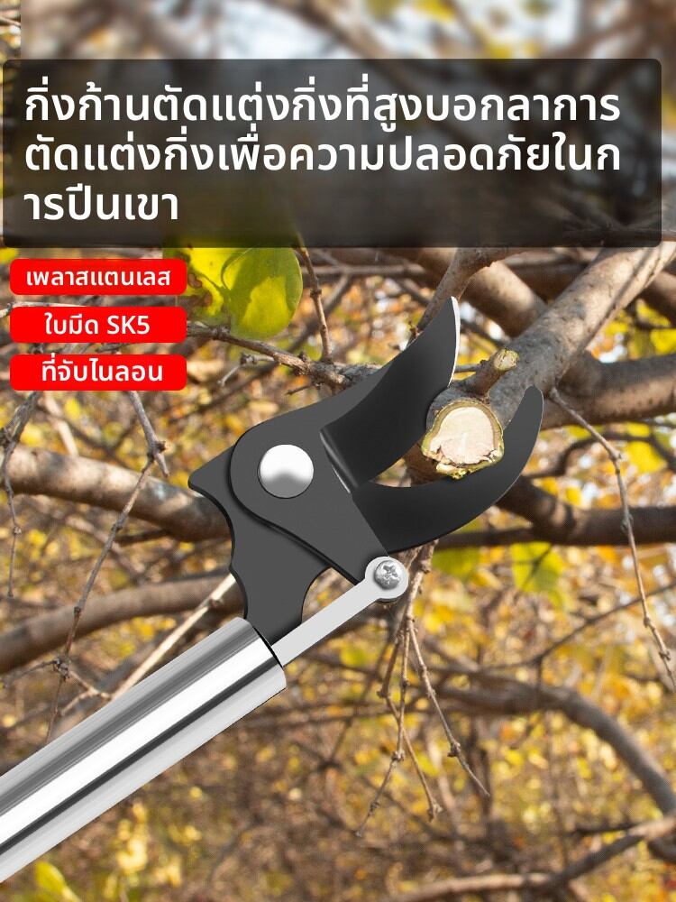 MONLEYTA | German High Branch Pruner Extendable Pole High Altitude Pruner Special Scissors For Garden Fruit Trees Thick Branch Stainless Steel Pruner ราคา 502 บาท*ส่งฟรี