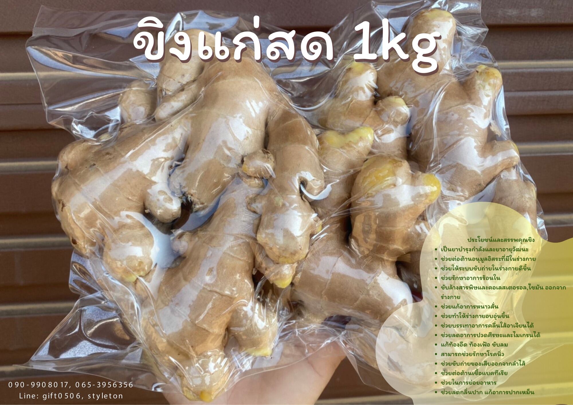 ขิงแก่ (Ginger) 1kg