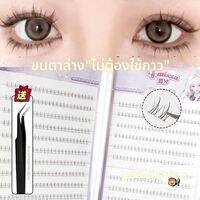 ขนตาปลอมสำหรับตาล่างติดได้เองจากธรรมชาติ Faiccia