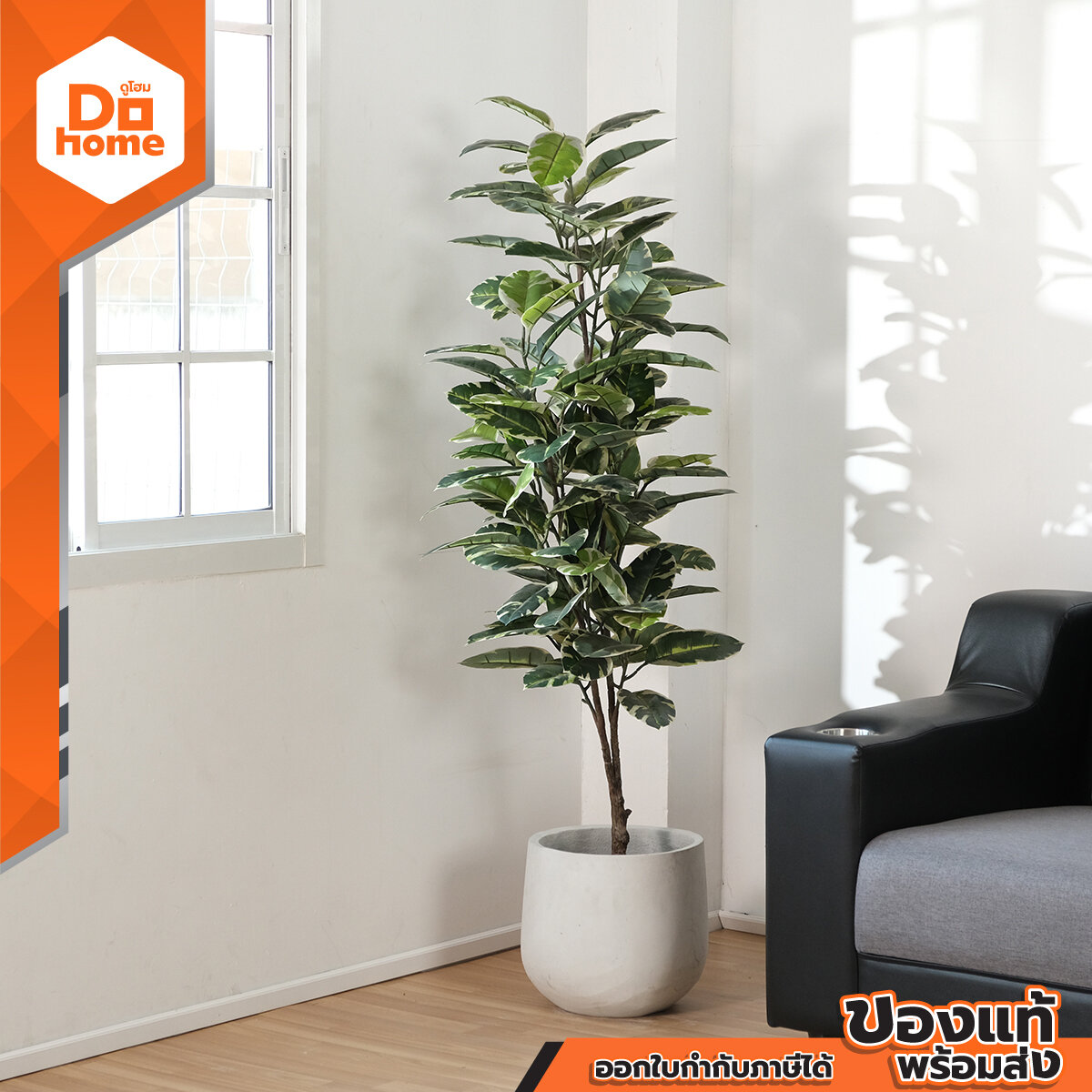 Decos Artificial Tree, Indian Rubber, 162 Cm. Model Nal20-802 | T | ราคา 1,390 บาท*ส่งฟรี