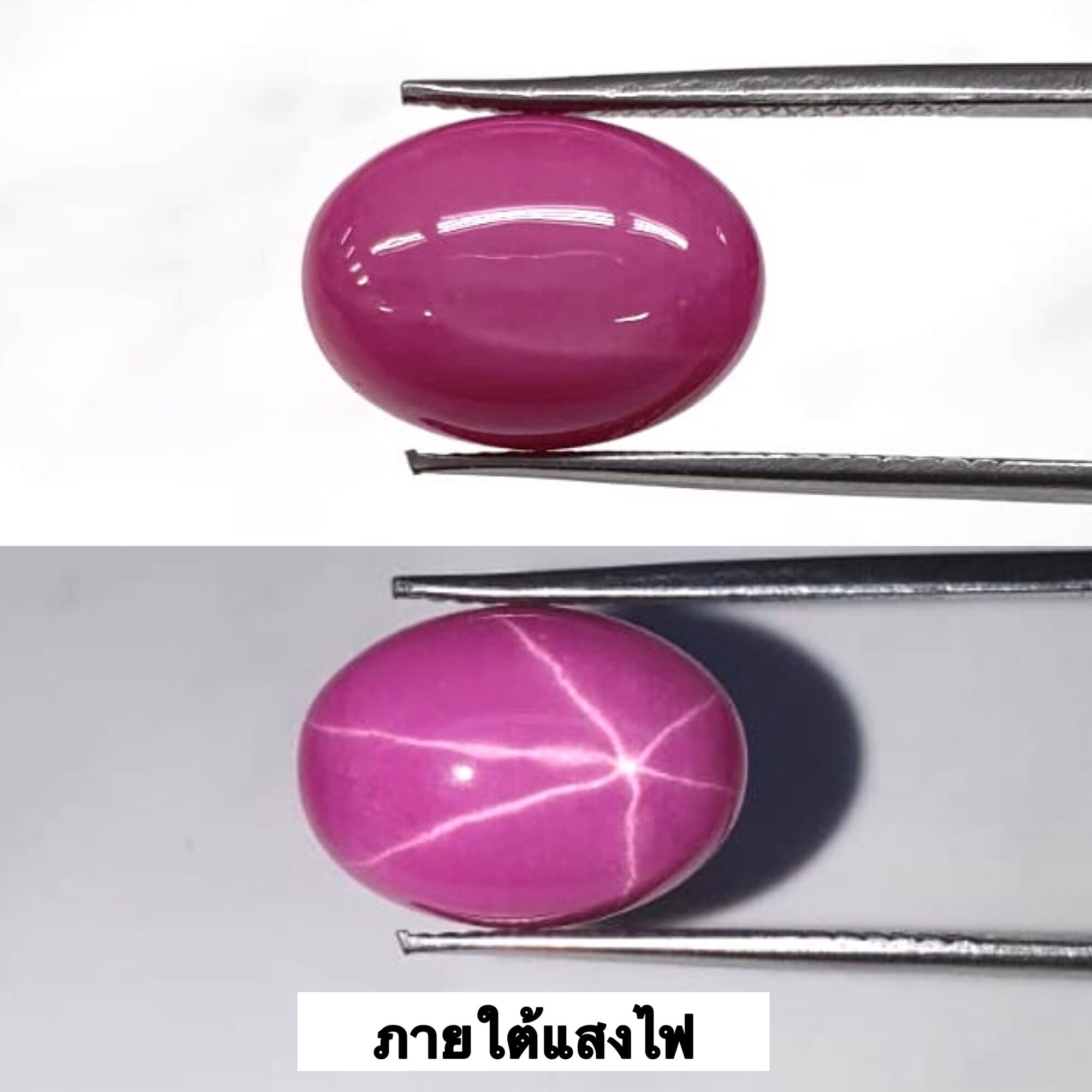 สตาร์ แดง ทับทิม. Red Star Ruby Corundum. มีหลายขนาด เป็นพลอยอัด (พลอยสั่งเคราะเนื้อแข็ง)