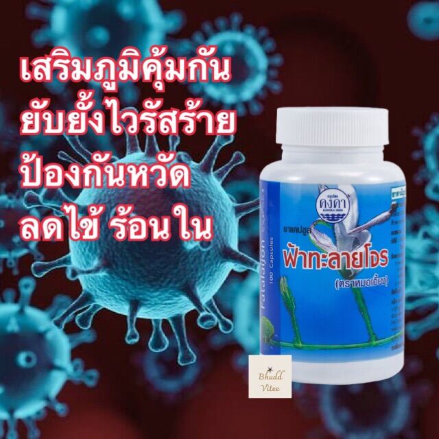 คงคาเฮิร์บ ฟ้าทะลายโจร 100 แคบซูล ✅✅รับประกันสินค้าผลิตใหม่✅✅ ของแท้ พร้อมส่ง (1 กระปุก)