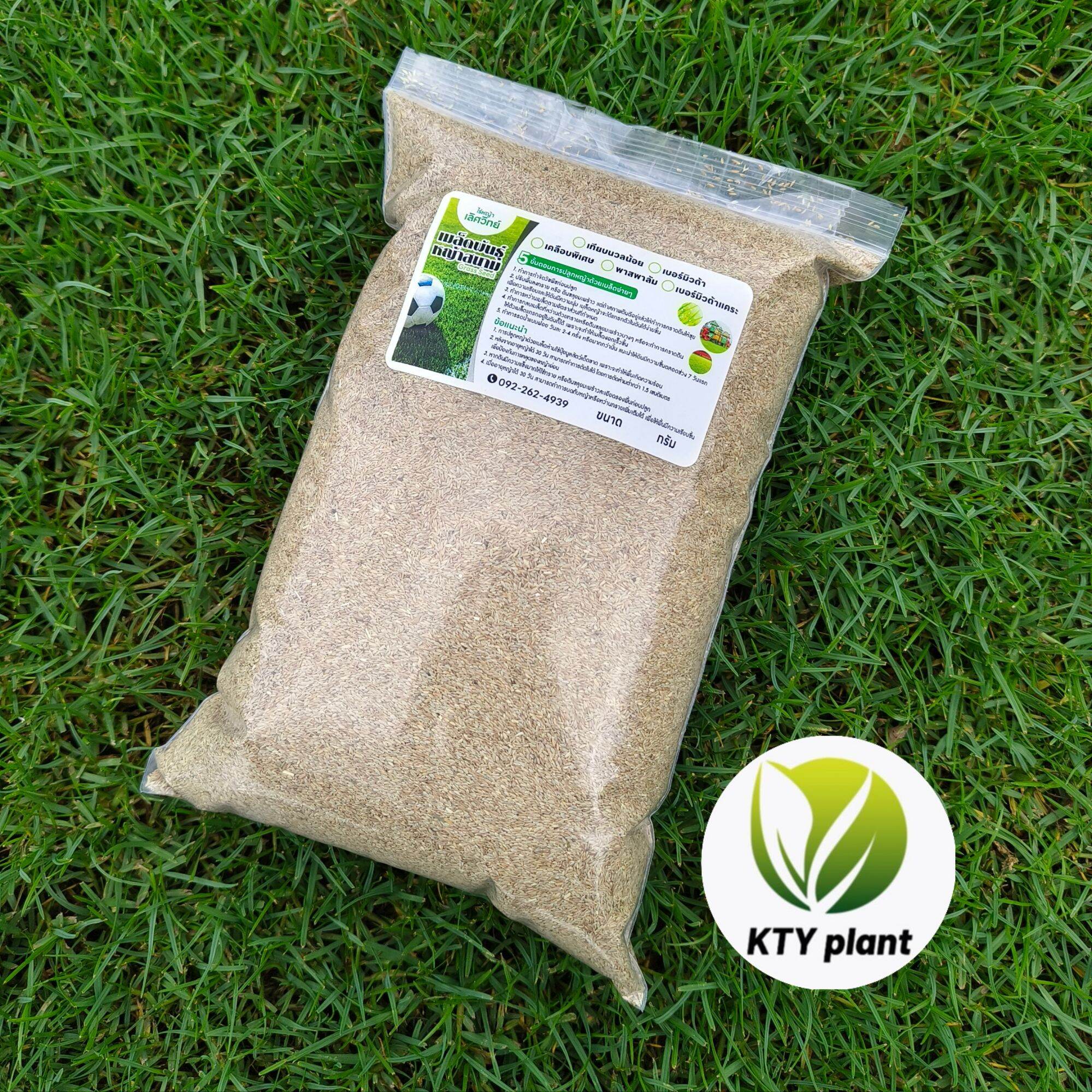 Paspalum Grass Seeds 1 Kilogram, Field Grass Seeds, Paspalum Grass ราคา 650 บาท*ส่งฟรี