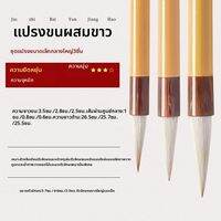 LIUPINTANG | ชุดแปรงคู่สำหรับฝึกหัดการเขียนตัวอักษร ปรับท่าทางนักเรียนและผู้ใหญ่