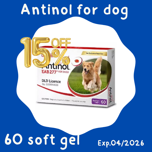 AntinoI for dog 60 soft gel อาหารเสริมไขมัน บำรุงข้อ สำหรับสุนัข ราคา 950 บาท*ส่งฟรี