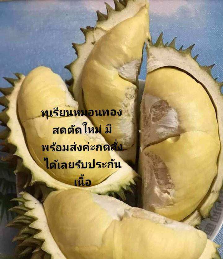 s2a7baf5a66cf453f9f32c5bd74dbabafp-jpg