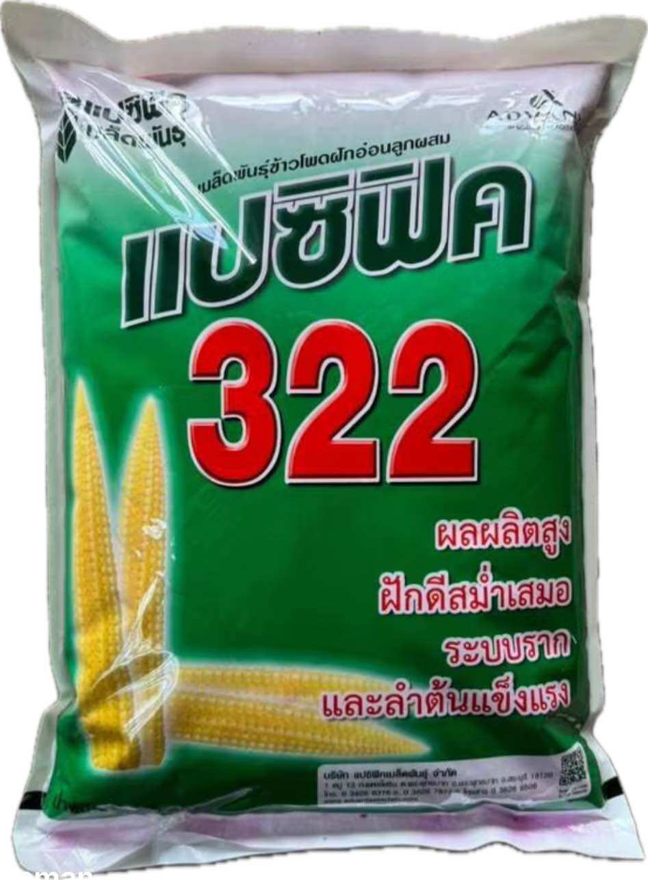 เมล็ดข้าวโพดฝักอ่อนลูกผสม แปซิฟิค 322 (5 กก.) 🌽 ฝักดีสม่ำเสมอ ผลผลิตสูง ระบบรากและลำต้นแข็งแรง 🌽 หมดอายุ 7/69 มี2 ขนาด 3 หุน และ 3.5 หุน ถุงละ5กก. ราคา 1,750 บาท*ส่งฟรี