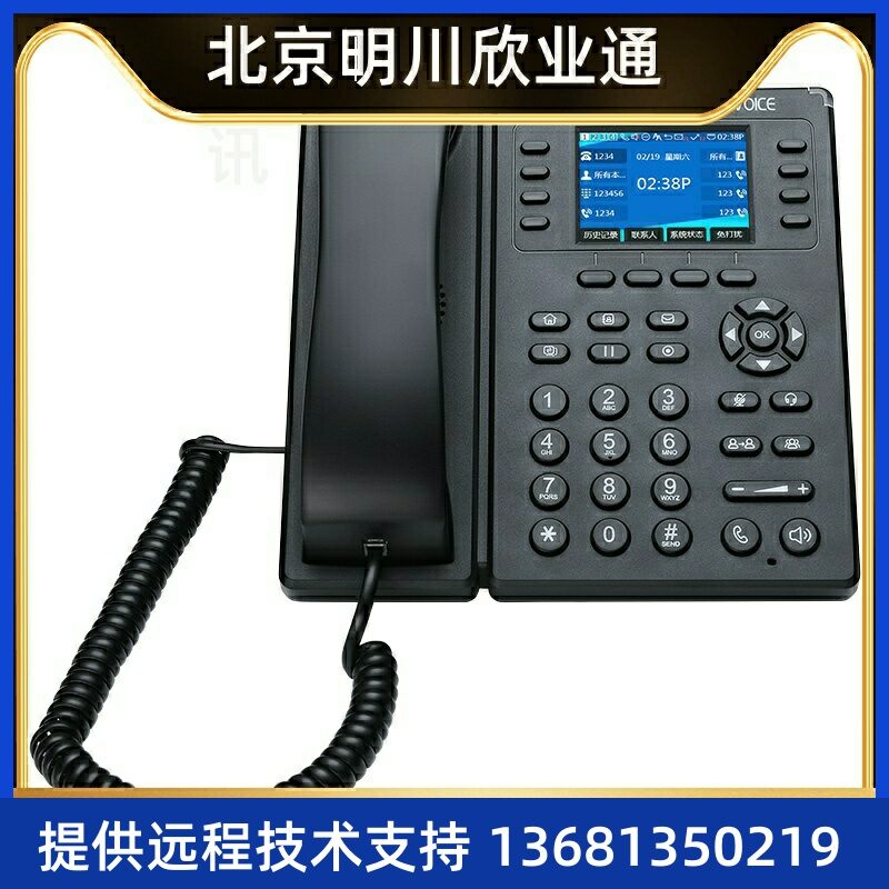 Color Screen Wireless IP Phone