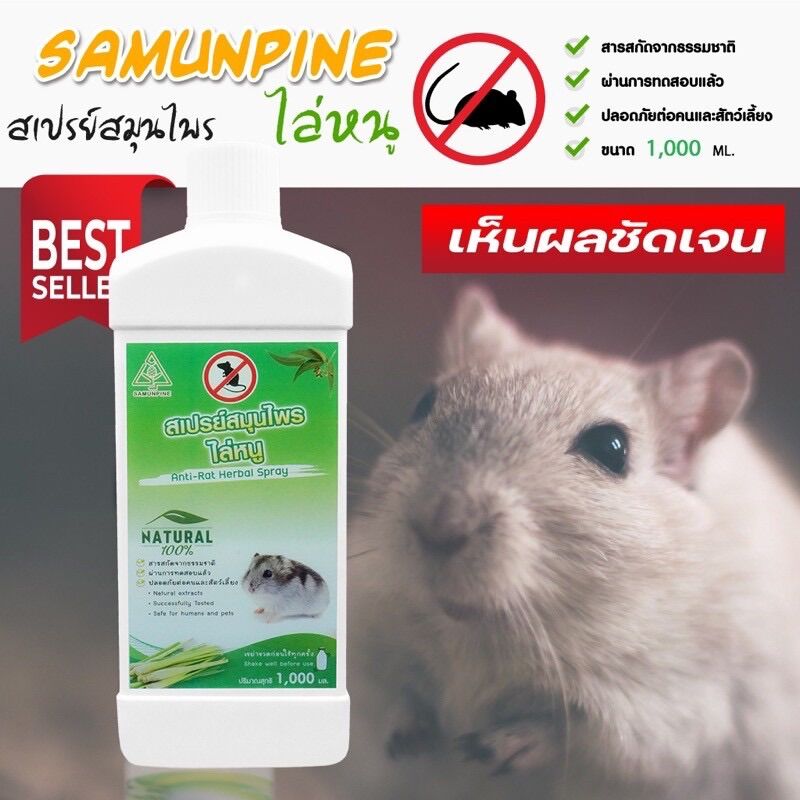 SAMUNPINE สเปรย์สมุนไพรไล่หนู สามารถใช้ห้องเครื่องรถยนต์ได้ ปลอดภัย ไร้สารเคมี ขนาด 1000 ml. (รีฟิวแบบเติมสุดคุ้ม) ราคา 399 บาท*ส่งฟรี