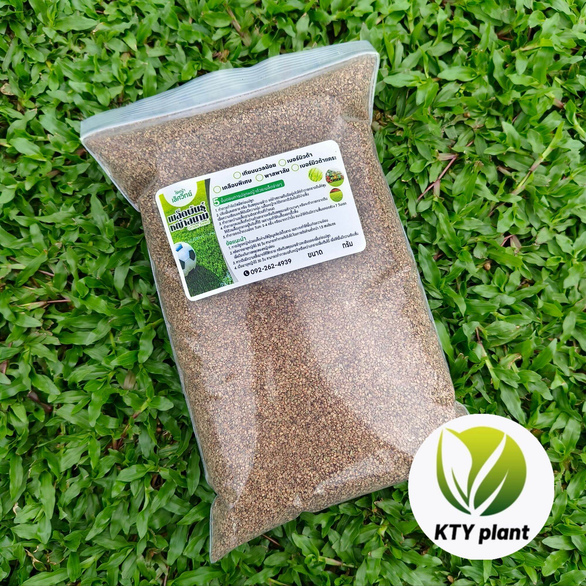 Malaysian Grass Seeds 1 Kilogram, Field Grass, Malaysian Grass ราคา 700 บาท*ส่งฟรี