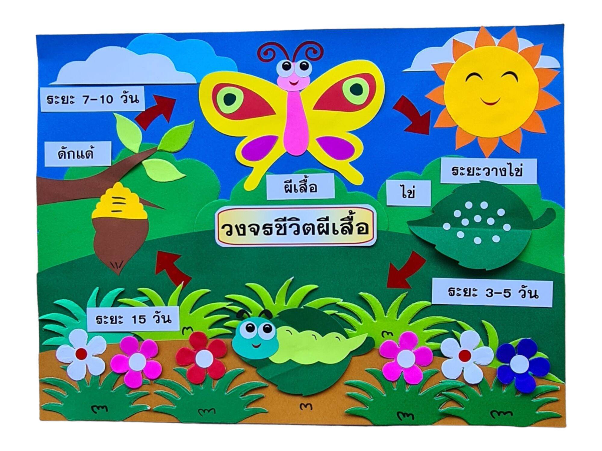 สื่อการสอนทำมือ วงจรชีวิตผีเสื้อ | Lazada.co.th