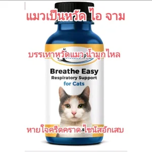 สินค้า อาหารเสริมสำหรับแมว อาหารเสริมแมว อาหารเสริมดูแลระบบทางเดินหายใจสำหรับแมว อาหารเสริมสำหรับแมวเป็นหวัด BreatheEasy-RespiratorySt หวัด แมว