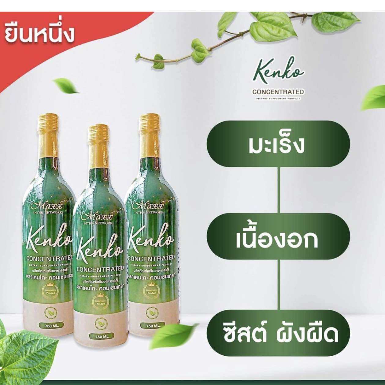 เคนโกะ KENKO Concentrated น้ำสมุนไพร ตราเคนโกะ ขนาด 750 ml. (ระวังของเลียนแบบ) ราคา 1,350 บาท*ส่งฟรี