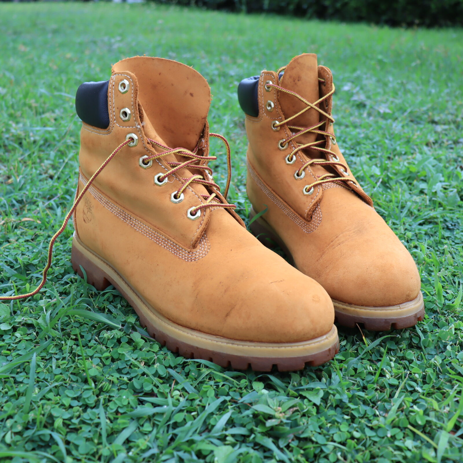 ส่งฟรี 10.5Us 28.5cm Timberland 6-INCH PREMIUM WATERPROOF BOOTS