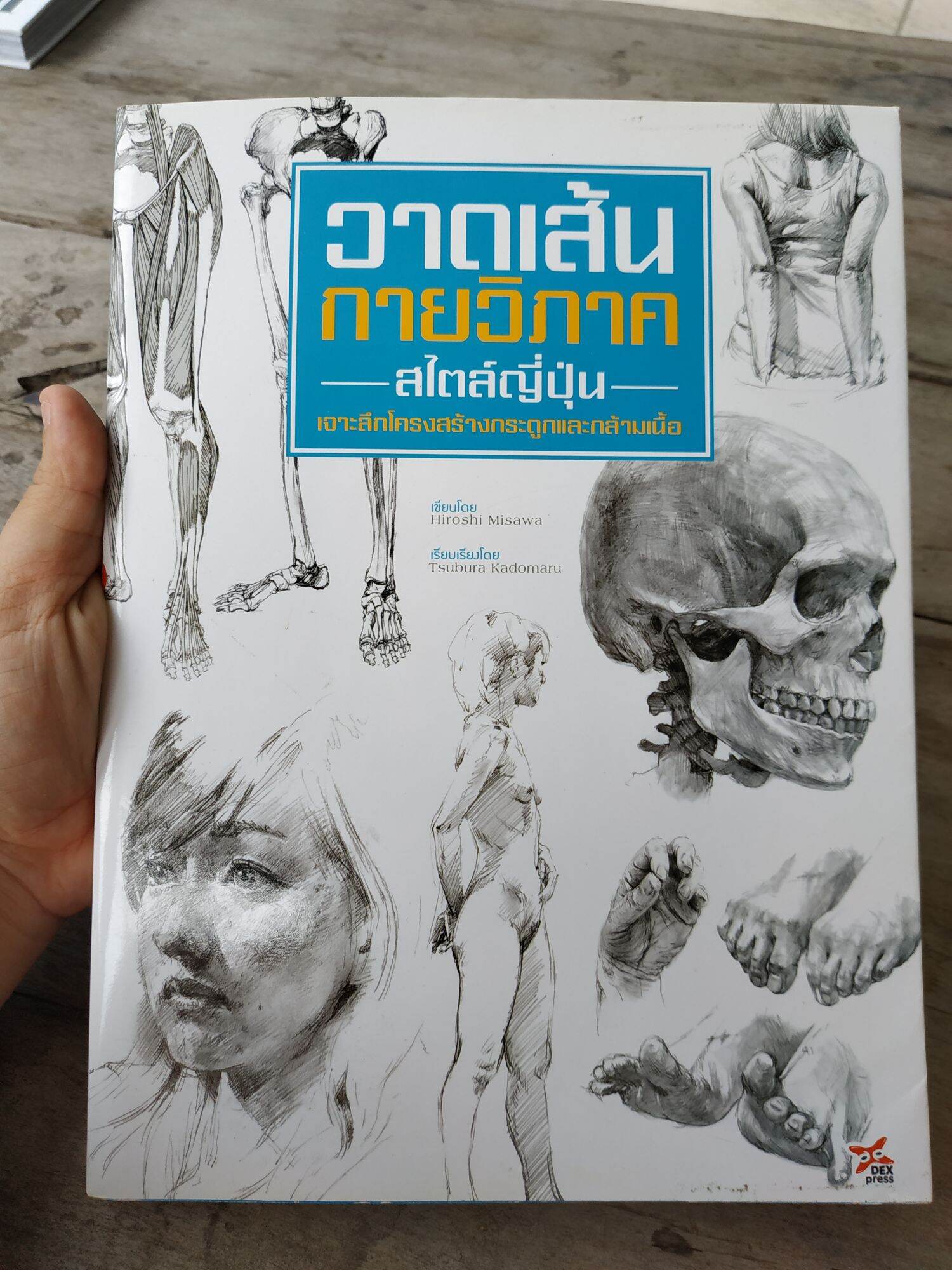 หนังสือสอนวาดภาพ วาดเส้นกายวิภาคสไตล์ญี่ปุ่น สภาพดี