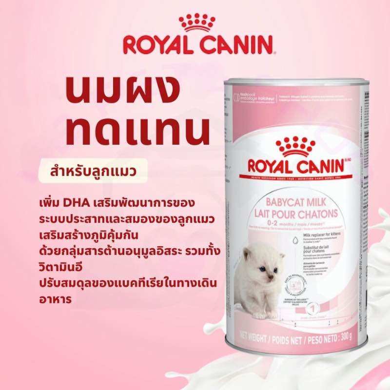 Royal Canin Babycat Milk 300 Grams for Newborn Kittens. ราคา 890 บาท*ส่งฟรี