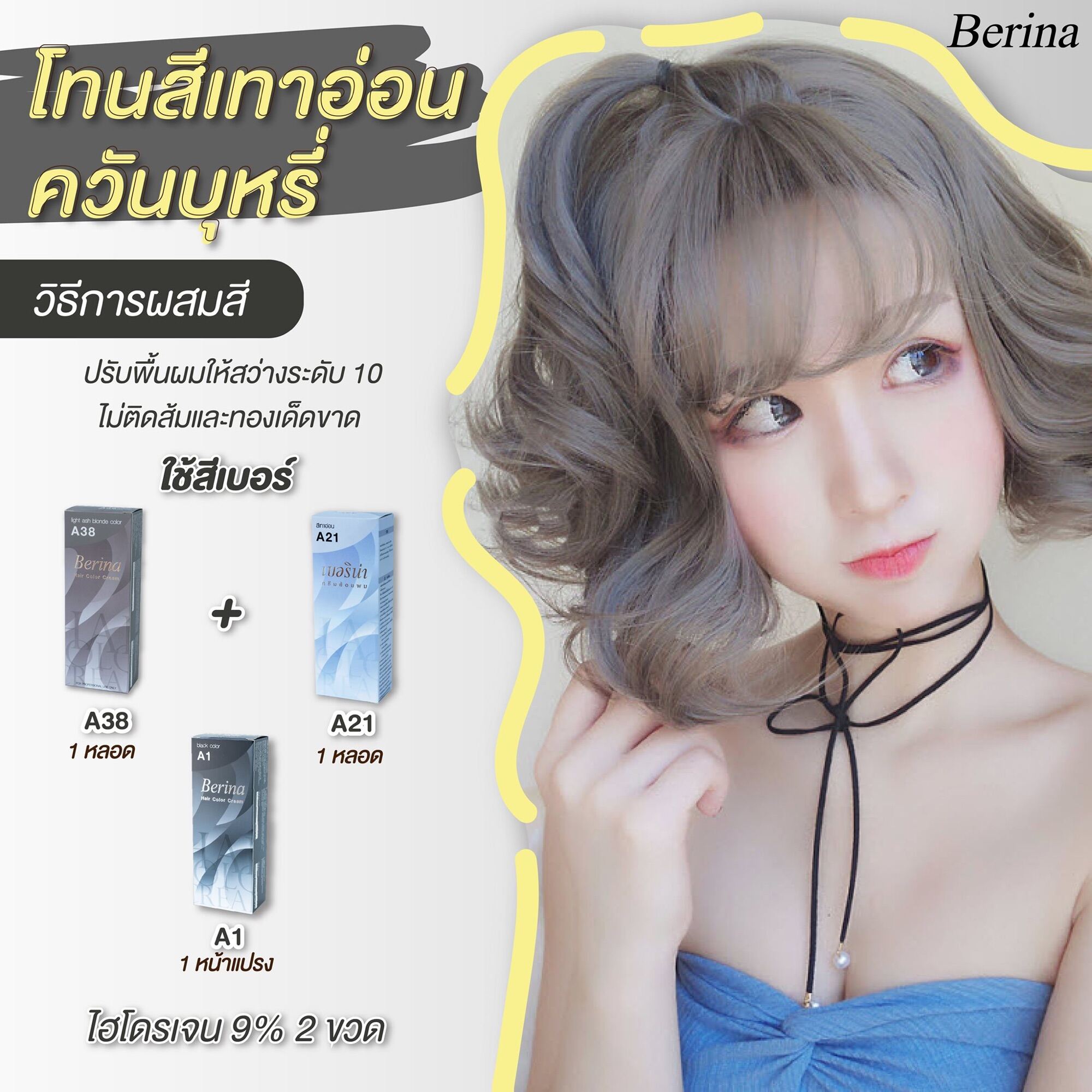 เบอริน่า Berina ครีมเปลี่ยนสีผม ครีมย้อมผม สีผม Berina hair color cream