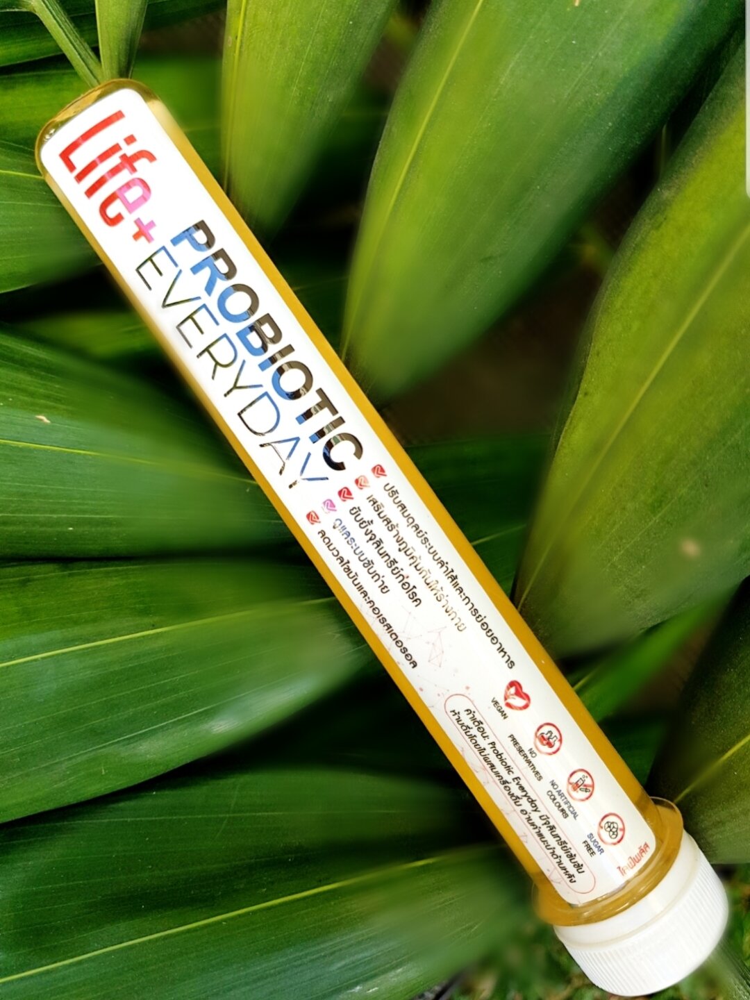 probiotic-everyday-probiotics-80ml