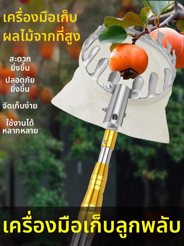 MONLEYTA | High Reach Fruit Picker with Extendable Pole and Net ราคา 384 บาท*ส่งฟรี