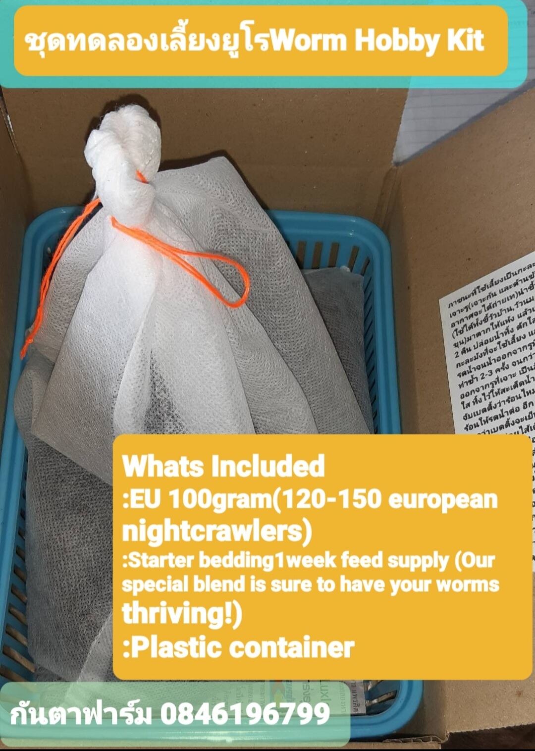 European nightcrawlers,ไส้เดือนยูโร Lazada.co.th